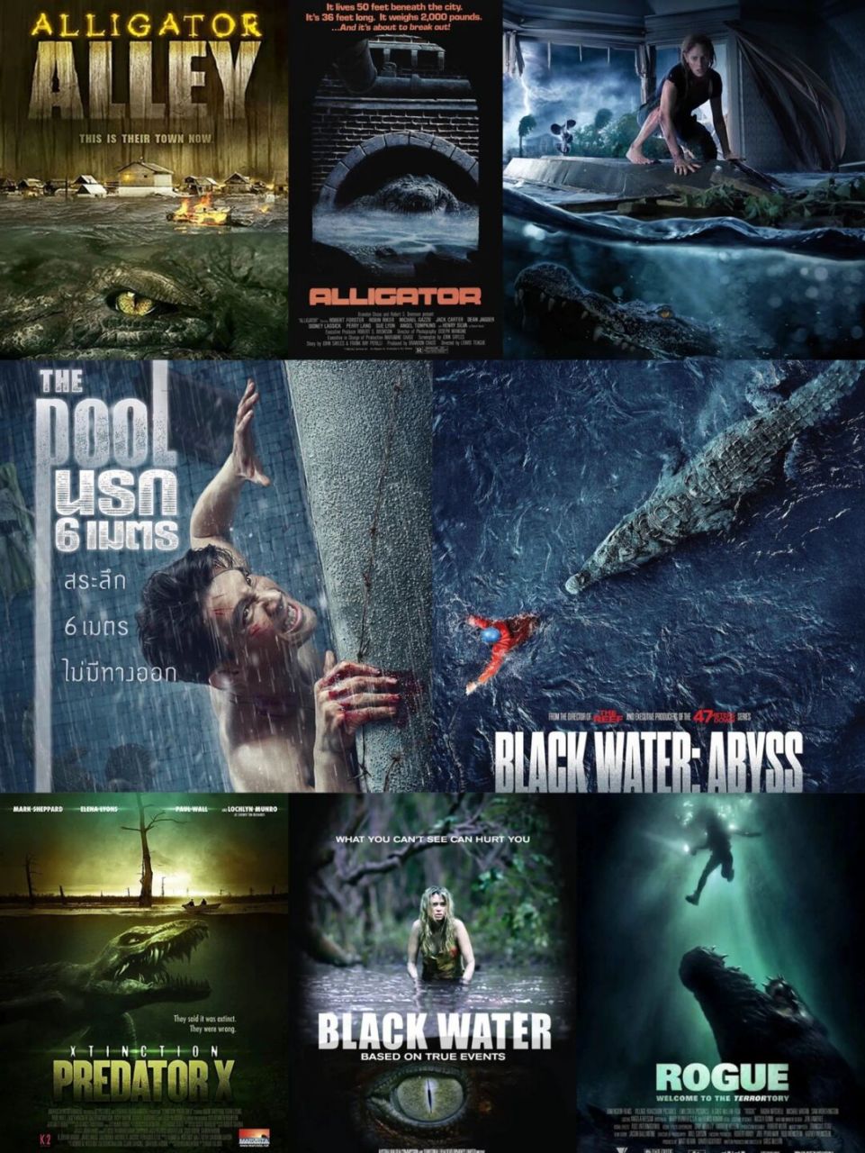 90鳄鱼巷 90鳄鱼邓迪 90鳄口逃生 90绝命鳄口 90史前巨鳄