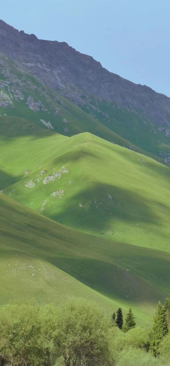 壁纸48丨清新绿色山7215背景图来啦～ 920395987275