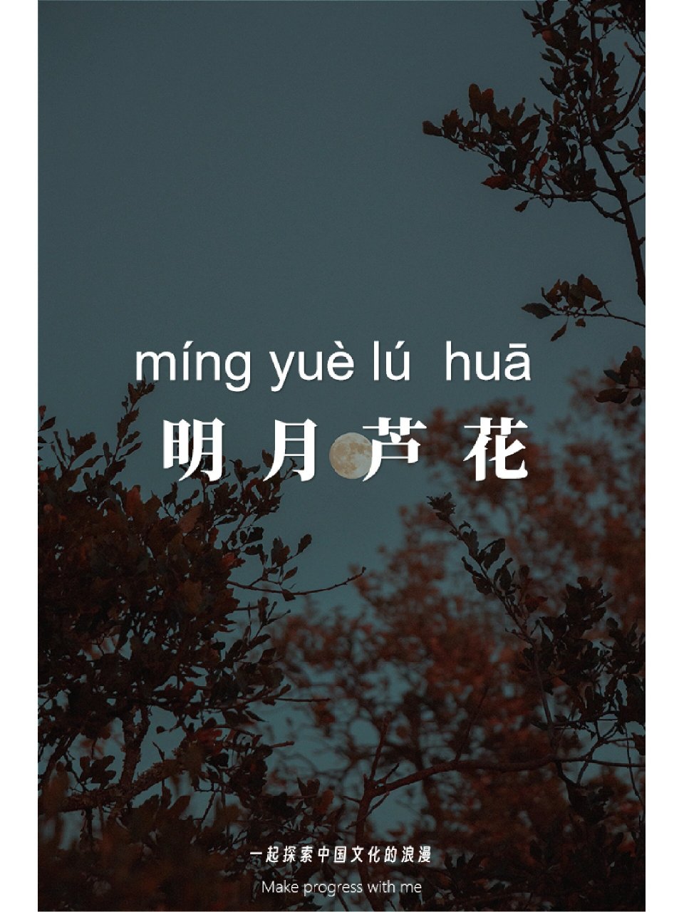 一起探索中国文化的浪漫·成语|明月芦花 明月芦花,拼音是míng