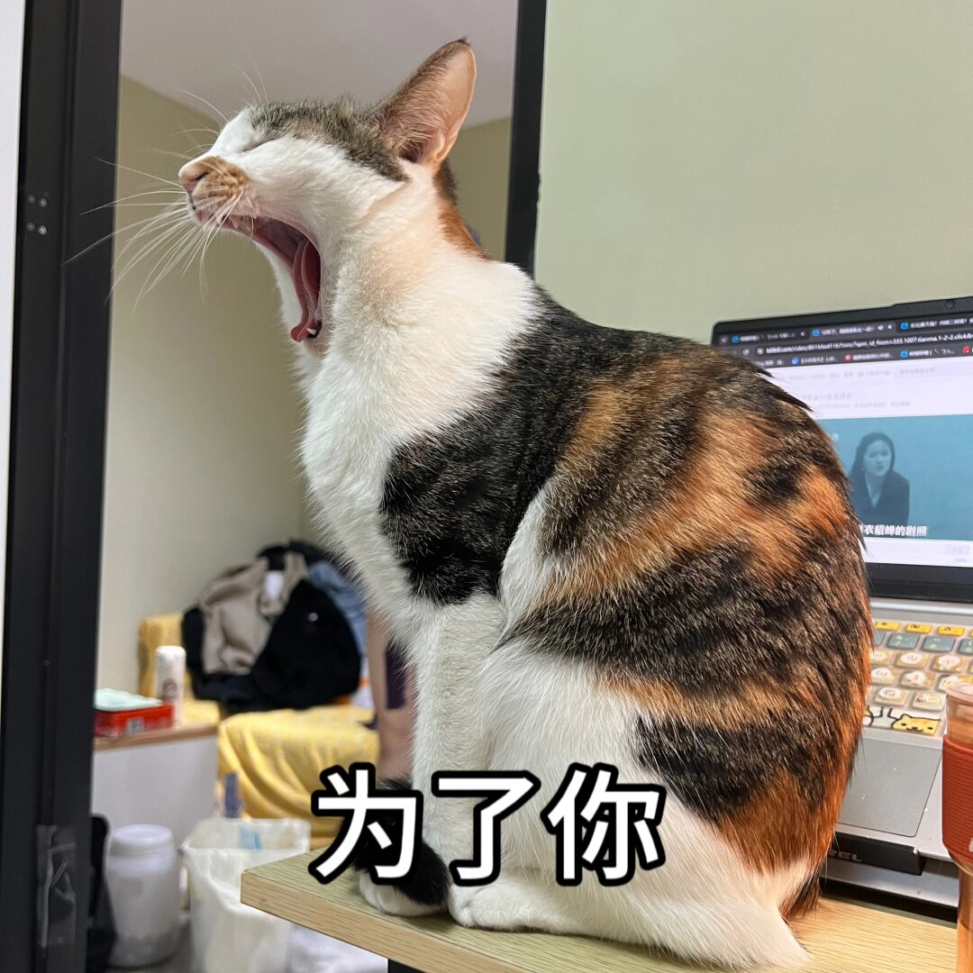 到底要怎么样才能煮出来那种粒粒分明又香喷喷的大白米饭啊!