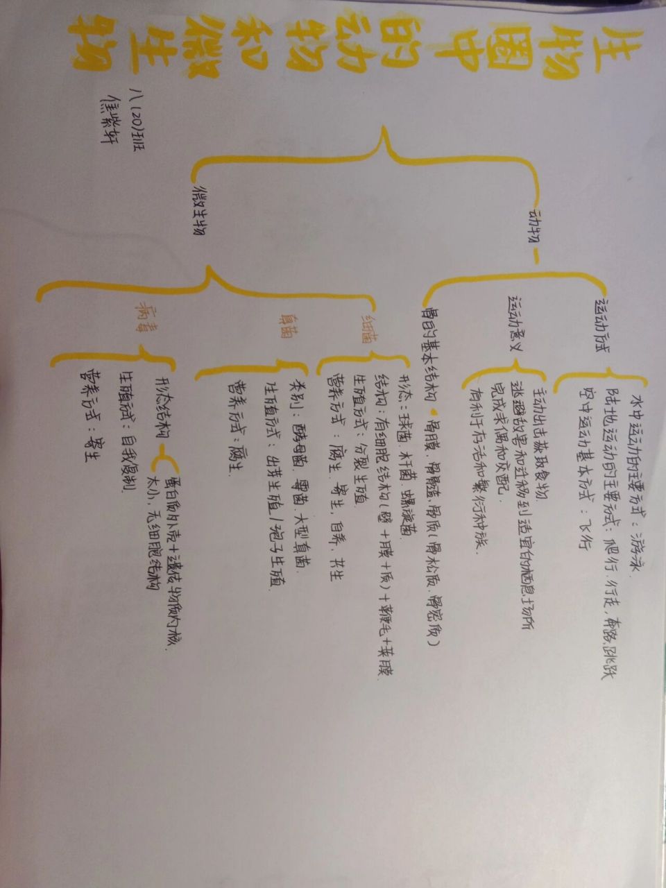 八上第五单元生物思维导图北师大版 生物圈中的动物和微生物