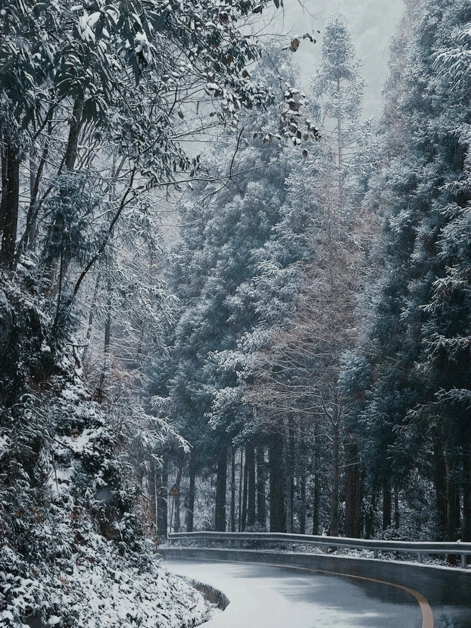 屏边大围山雪景图片