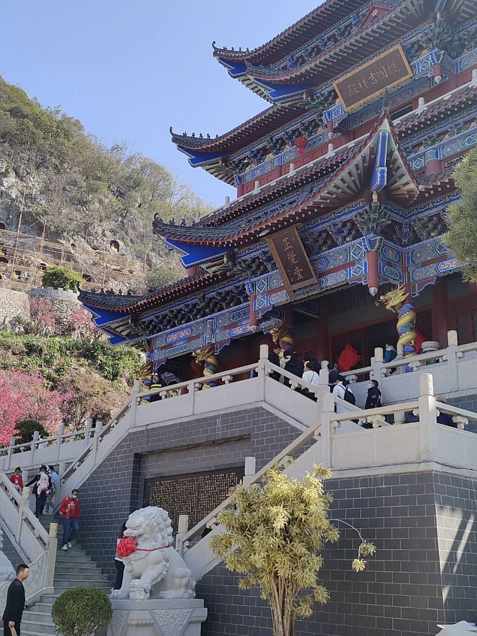 【韶关出游】布满樱花的东华禅寺06   时隔一年再次去到东华禅寺