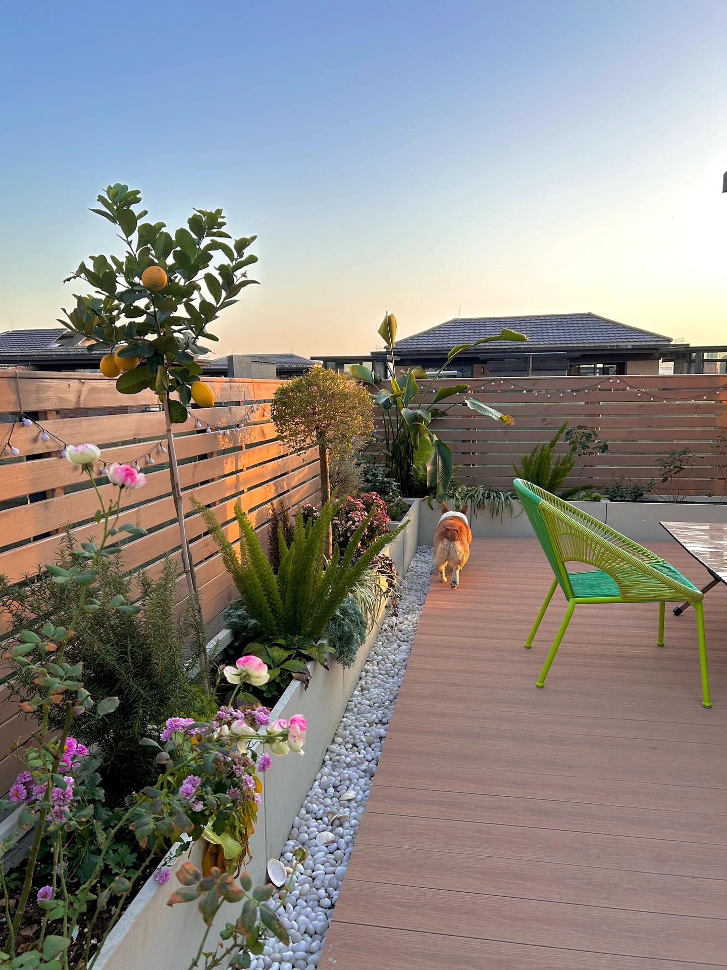 顶楼复式|普通人家露台花园一角