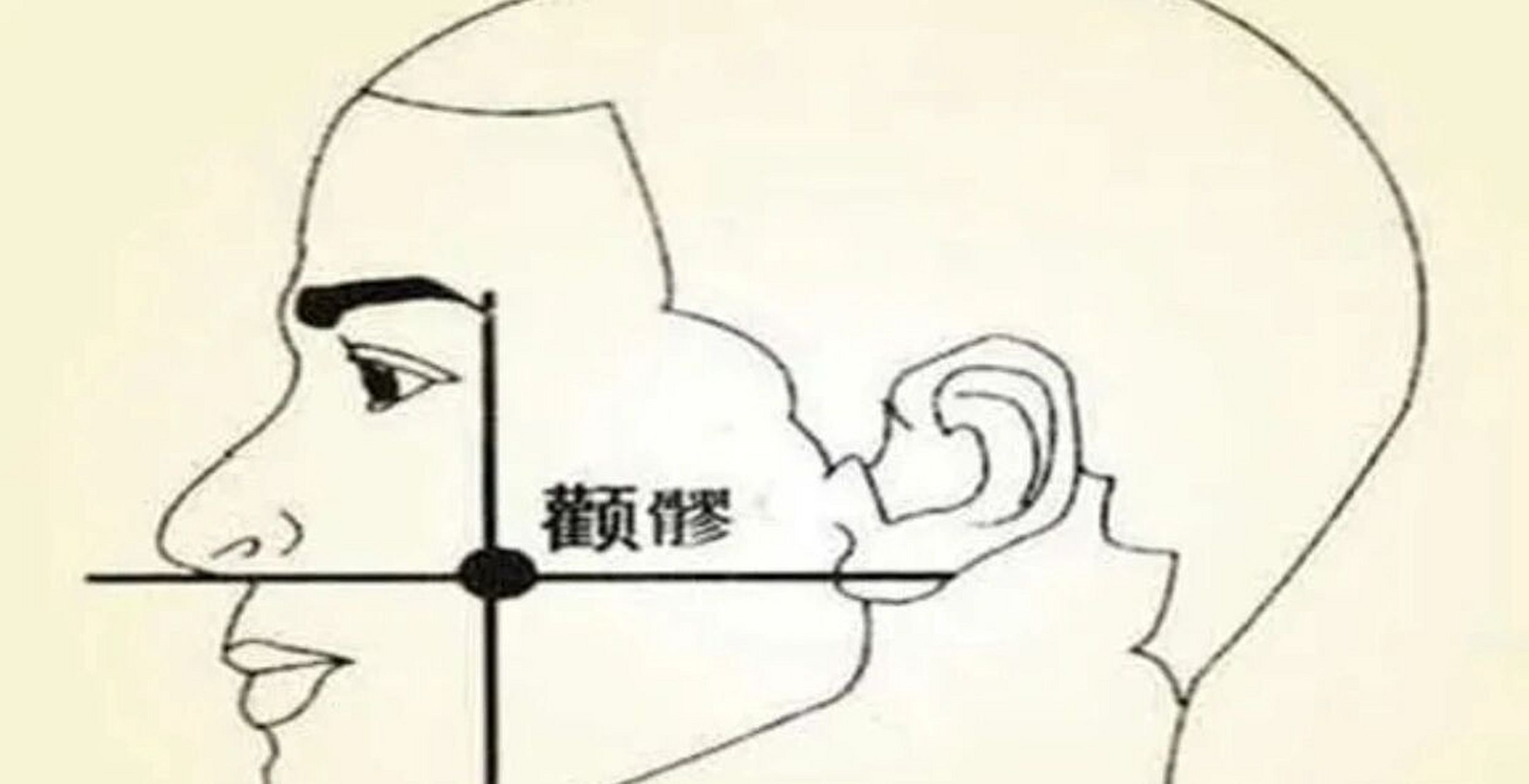 用大拇指按揉颧髎穴半分钟,坚持按揉,可以缓解治疗面肿.