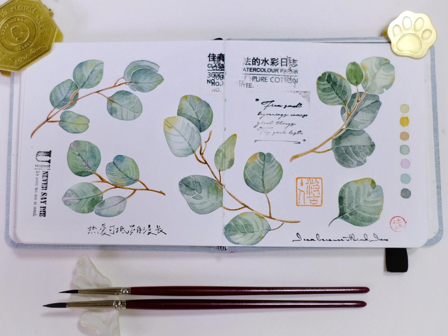 脱稿水彩尤加利叶子🍃练习