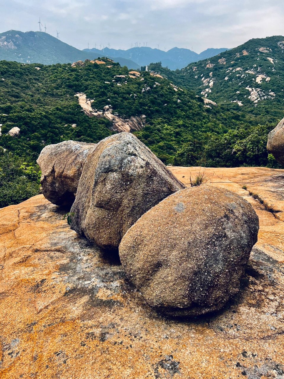 远看大石头,近看石头大,石头真是大,真是大 石头