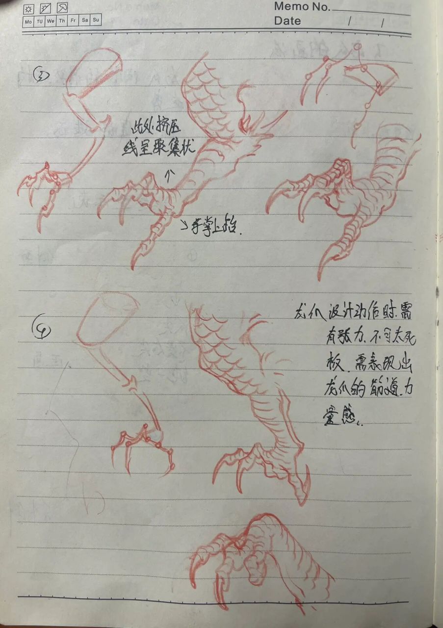 龙爪画法教学 很多粉丝说视频太晃了,直接给你们发图吧 现在发的都是