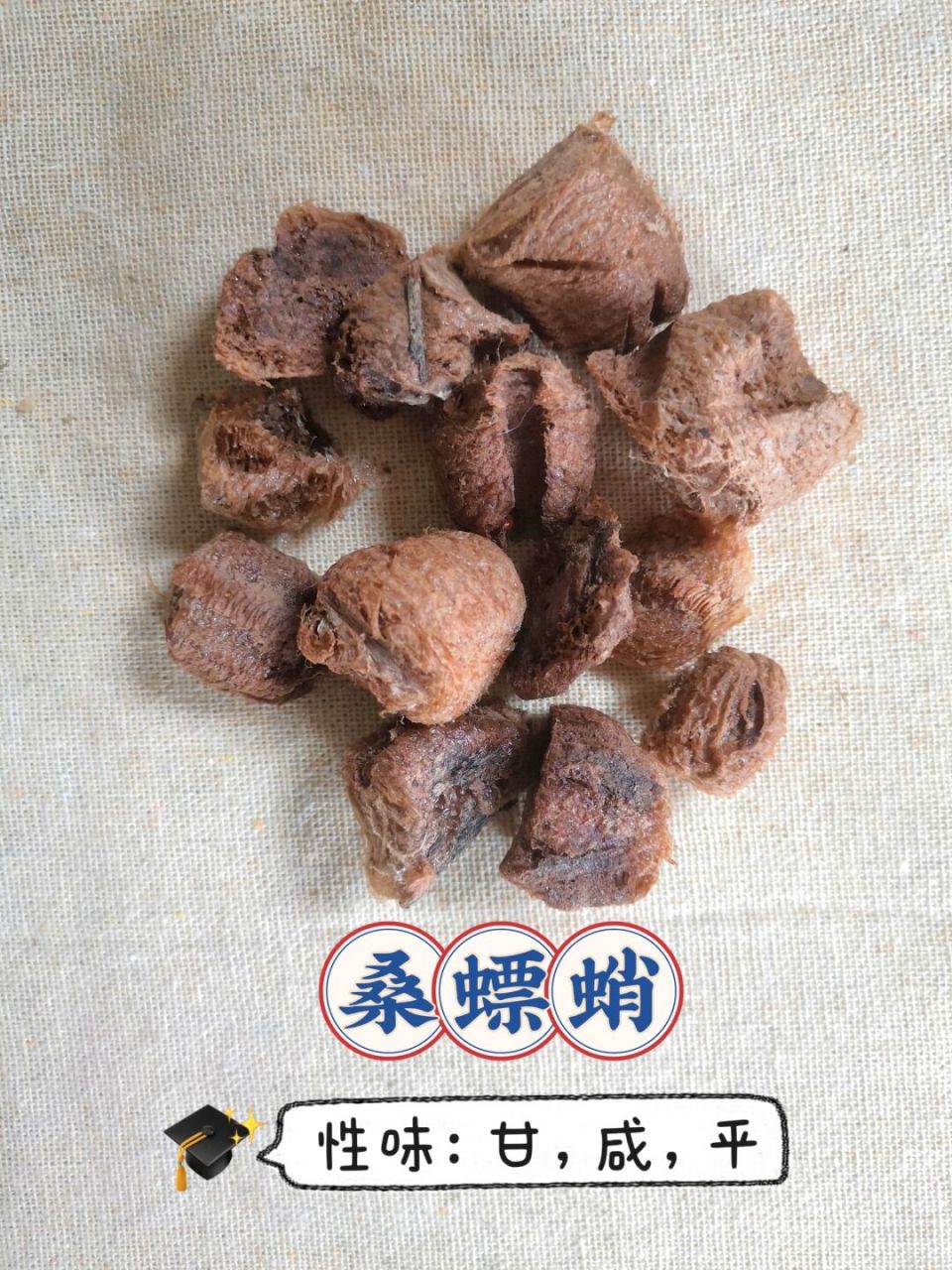 桑上螳螂窝→助阳→固涩→肾→尿→精 #桑螵蛸