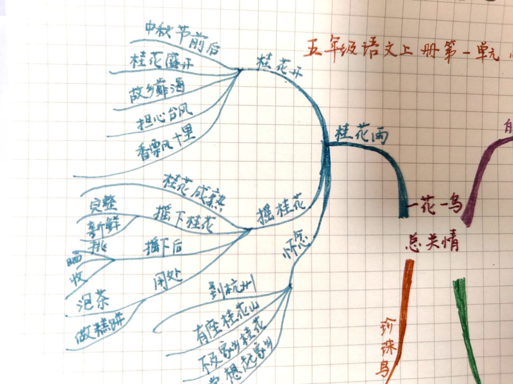 小学语文白鹭思维导图图片