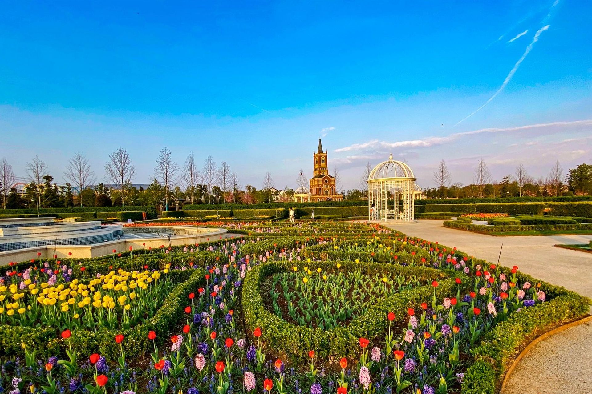 丰城爱情花卉小镇|愿你能踏遍山河 疫情,经济压力是时代吹落在每个人