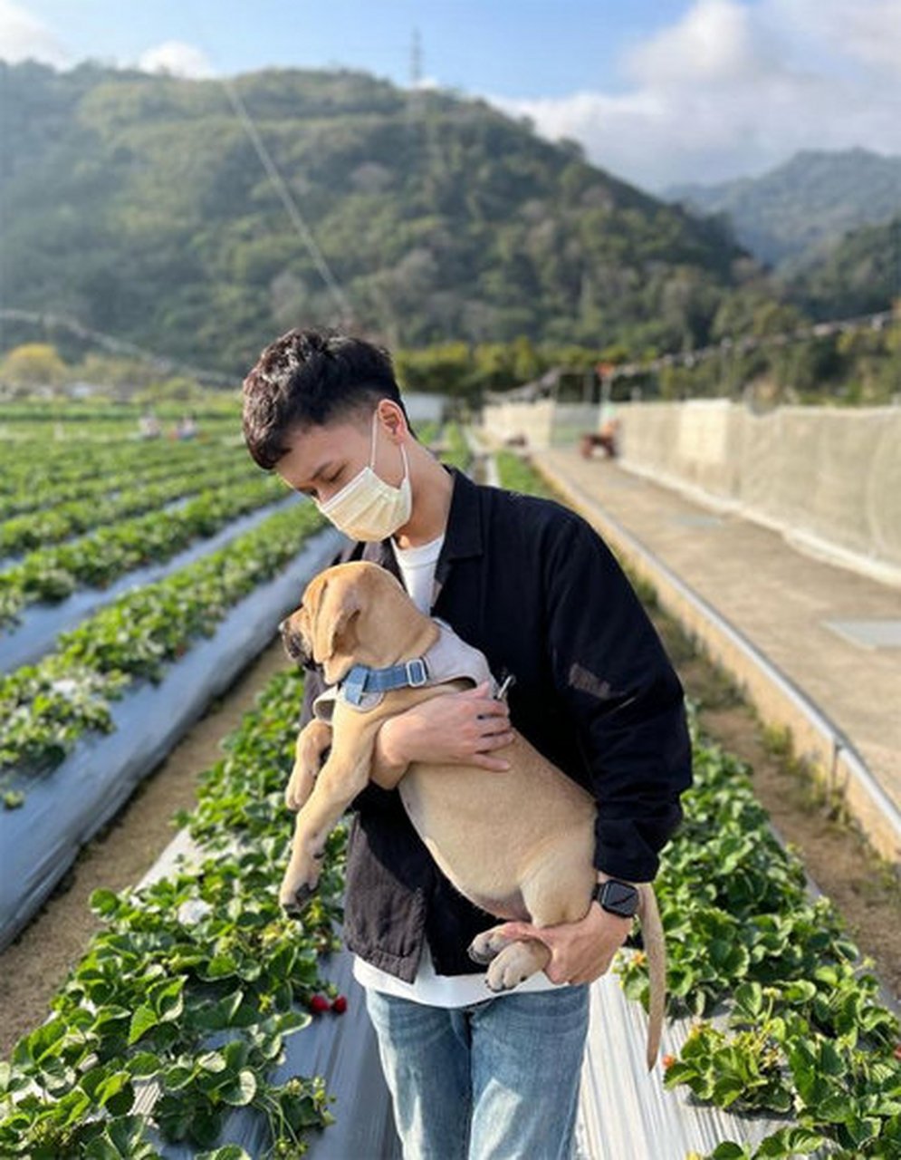 这高山犬成长的速度太快了吧!