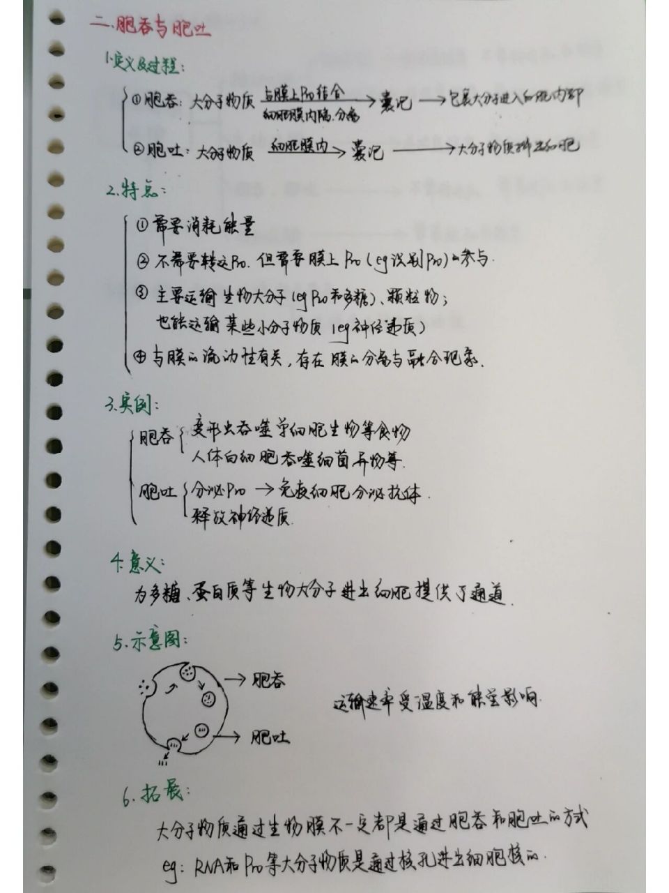 2主动运输和胞吞胞吐 生物老师日常笔记整理之必修一第四章2 笔记内容