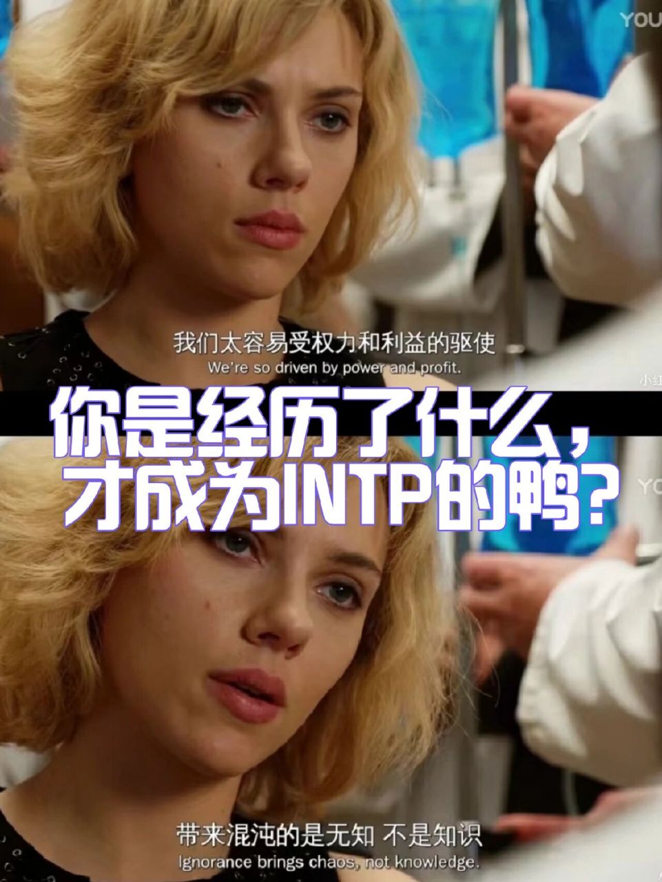 intp人格是怎样形成的 97979797979797979797