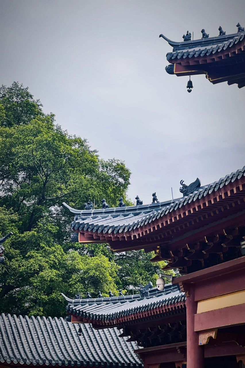 柳州开山寺 | 听寺庙里的禅音 柳城凤山县的开山寺,每逢初一十五都会