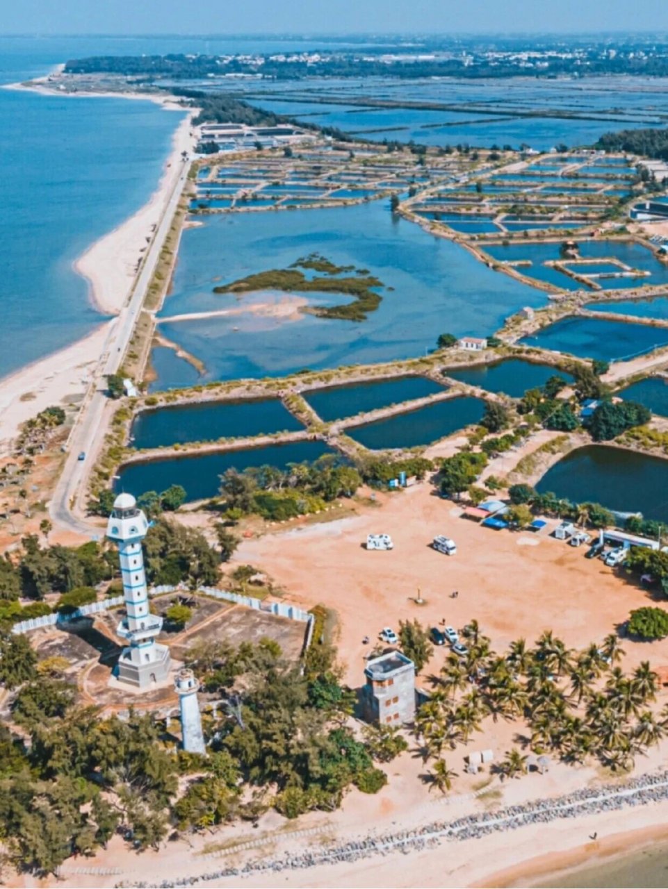 湛江旅游打卡|99大陆最南端菠萝的海—徐闻 菠萝的海9595 中国