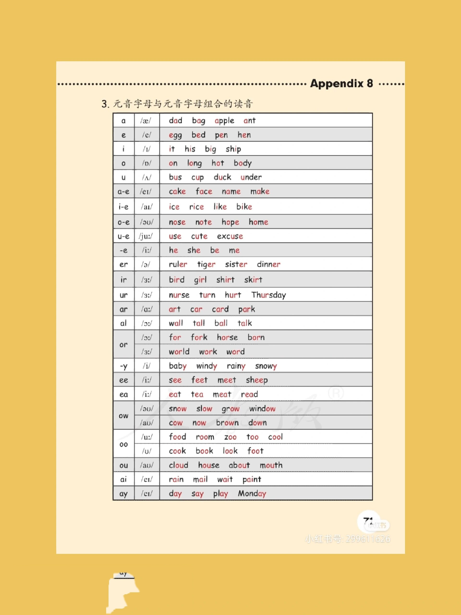 小学六年级下册英语单词表