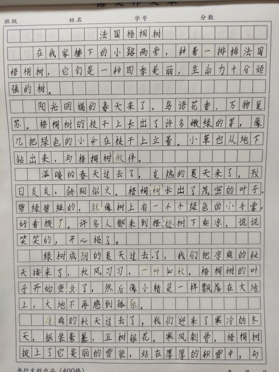 小孩练习的三年级作文《法国梧桐树》 三百五十字作文《法国梧桐树》