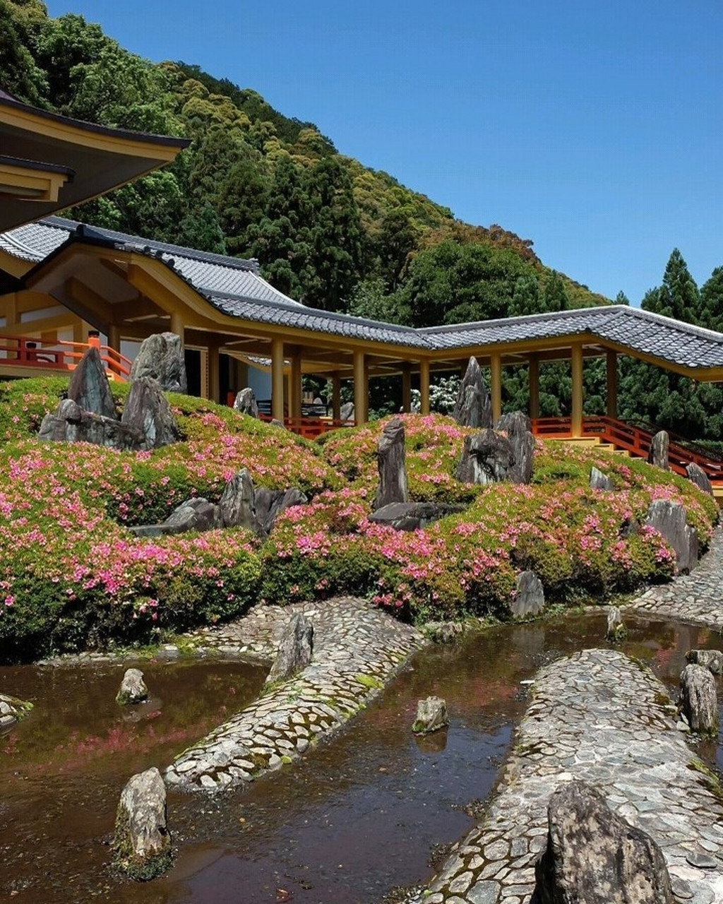 京都松尾大社,神明降临之地,日本酒神之社,美丽庭园及山吹让人心醉