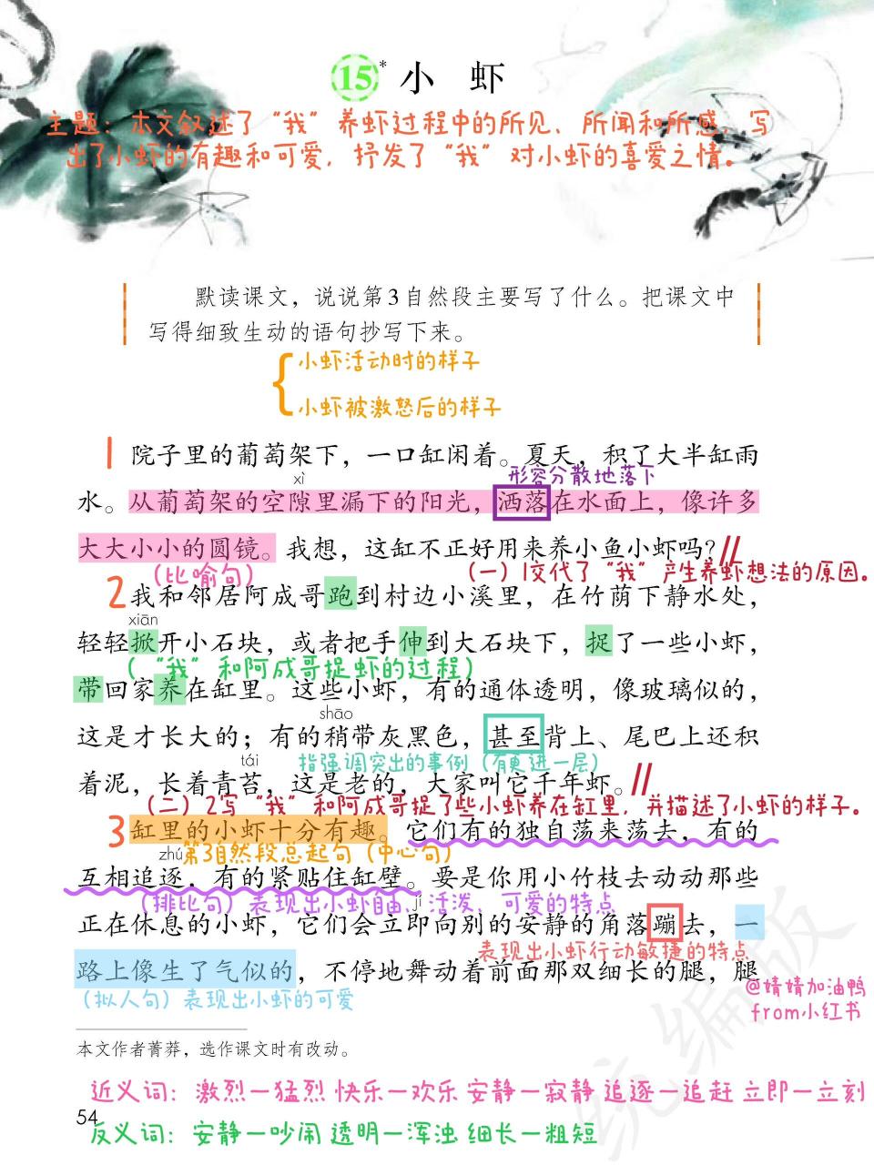 15课《小虾》课堂笔记图片