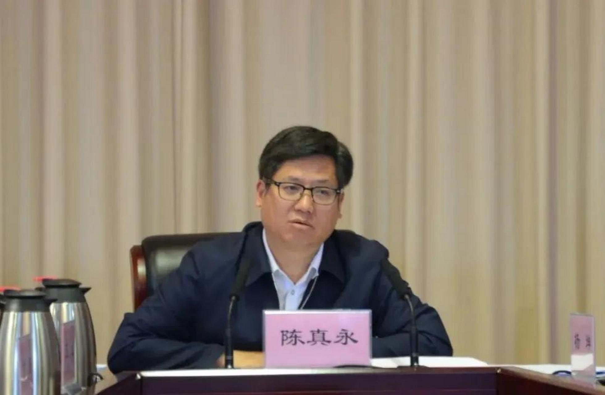 大理州长陈真永:要强化市场监管,规范严格执法,严厉整治随意涨价,强制