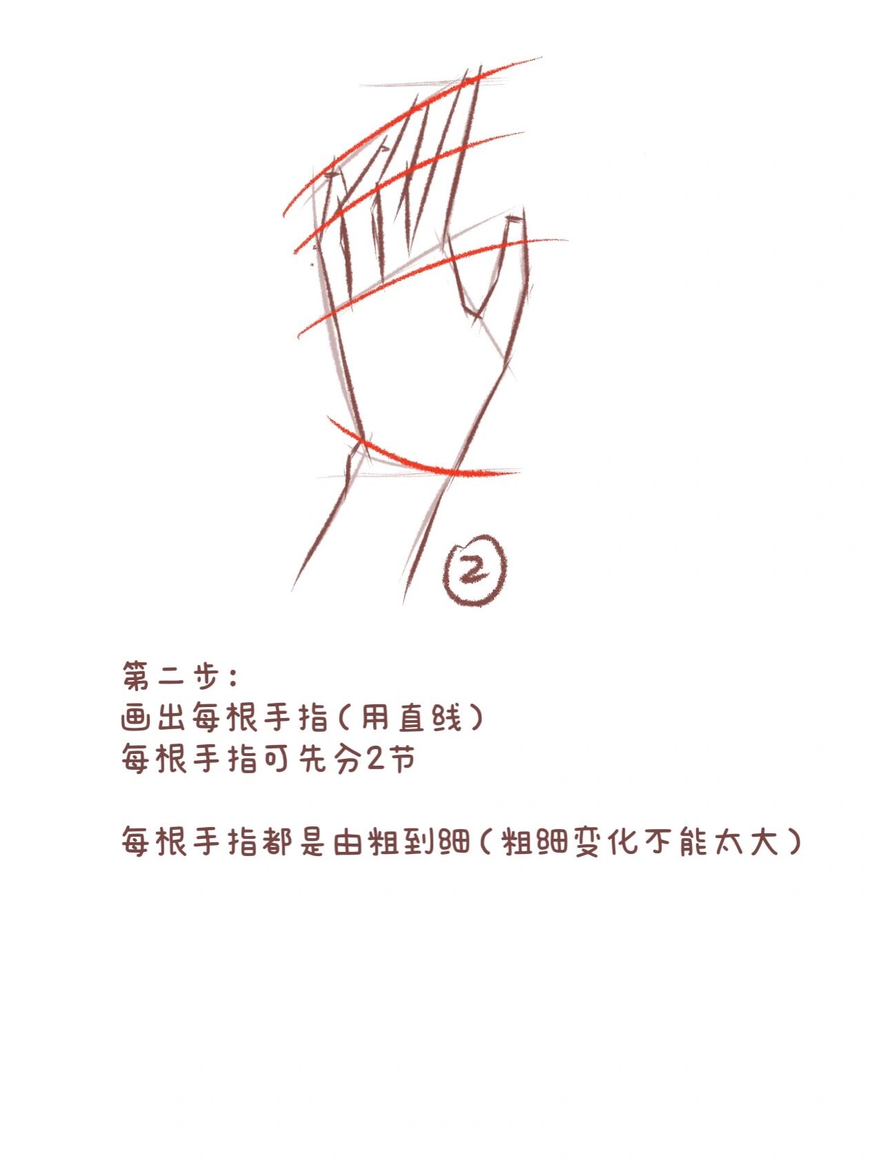 在于了解手部的结构就像医生要清楚的了解人体器官才能做手术一样