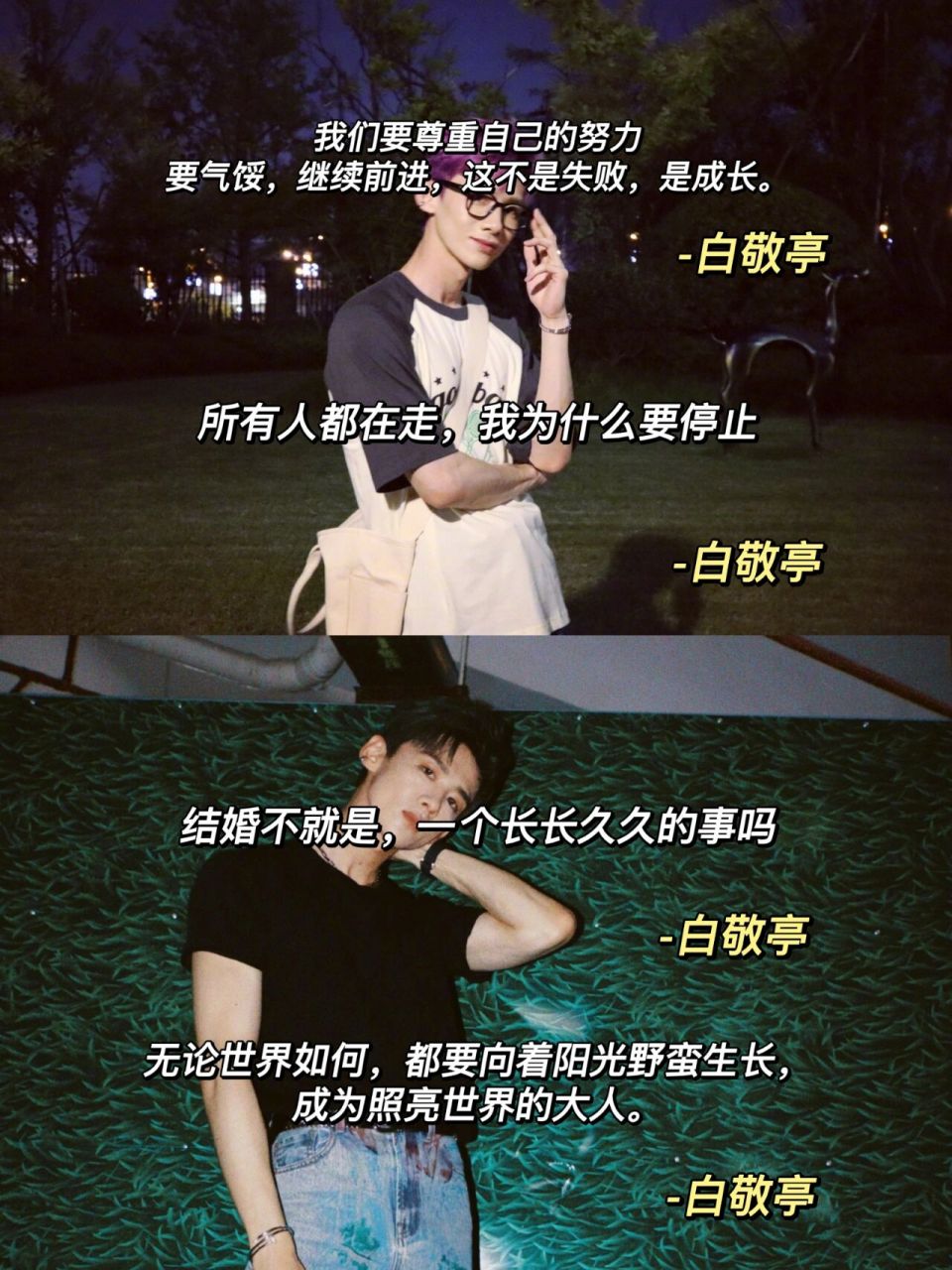 白鸽不可错过的白敬亭的励志语录!