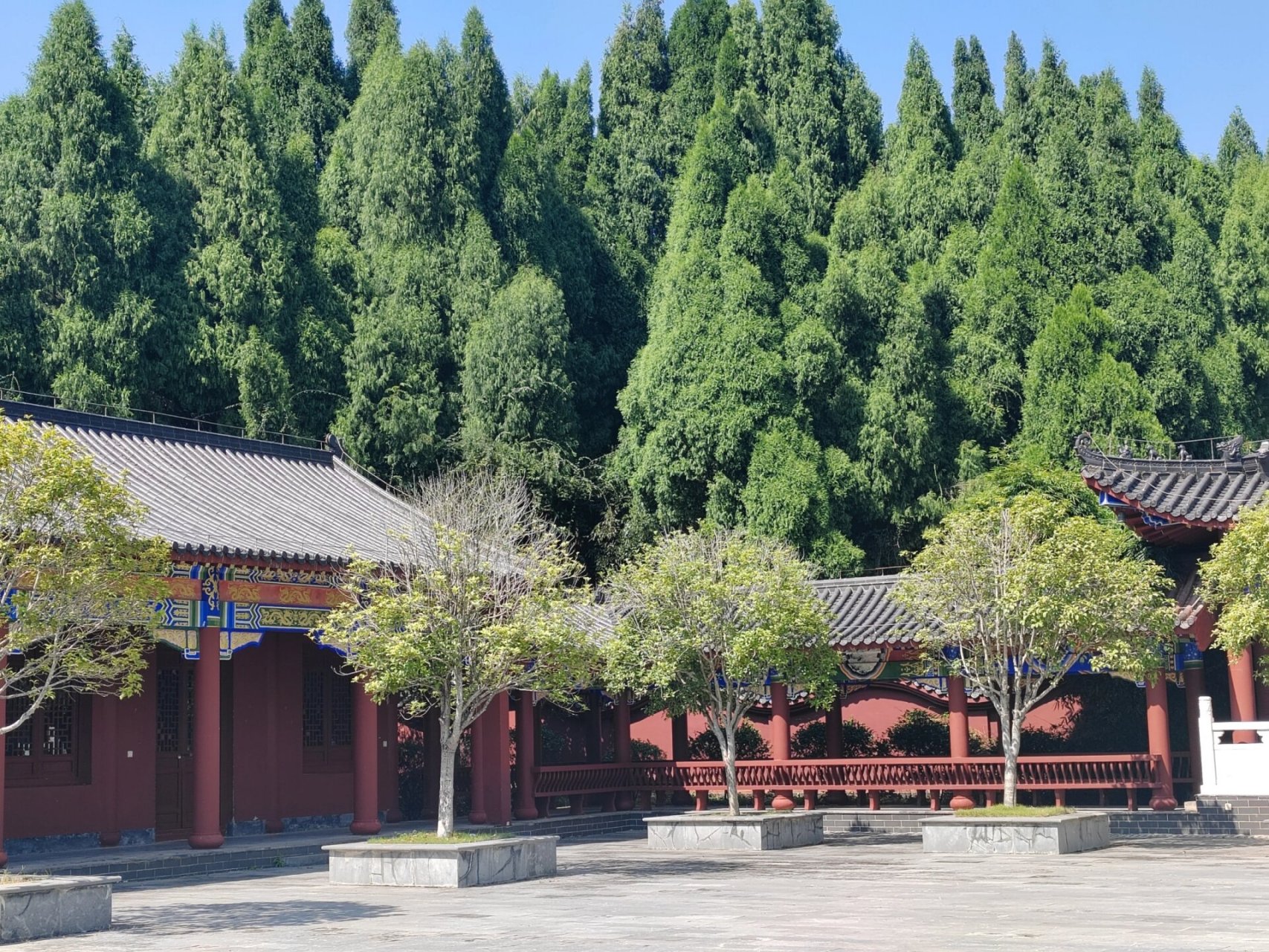 临武东林寺 四人之游——临武东林寺 是67上次去的东林寺 是小电动