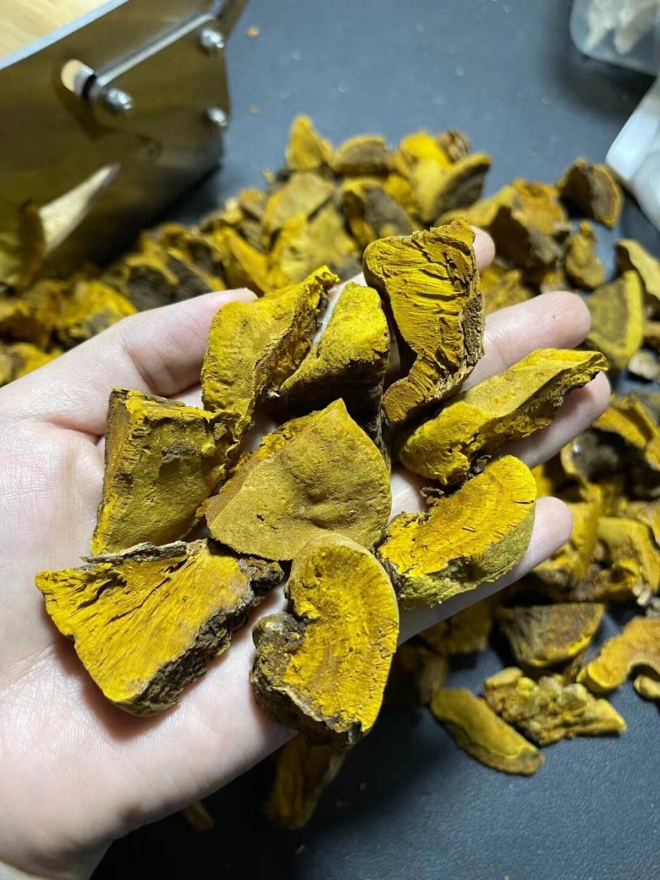 【中山】/桑黄—-结节,痛风患者的福音 预防大于治疗,平日里我们都