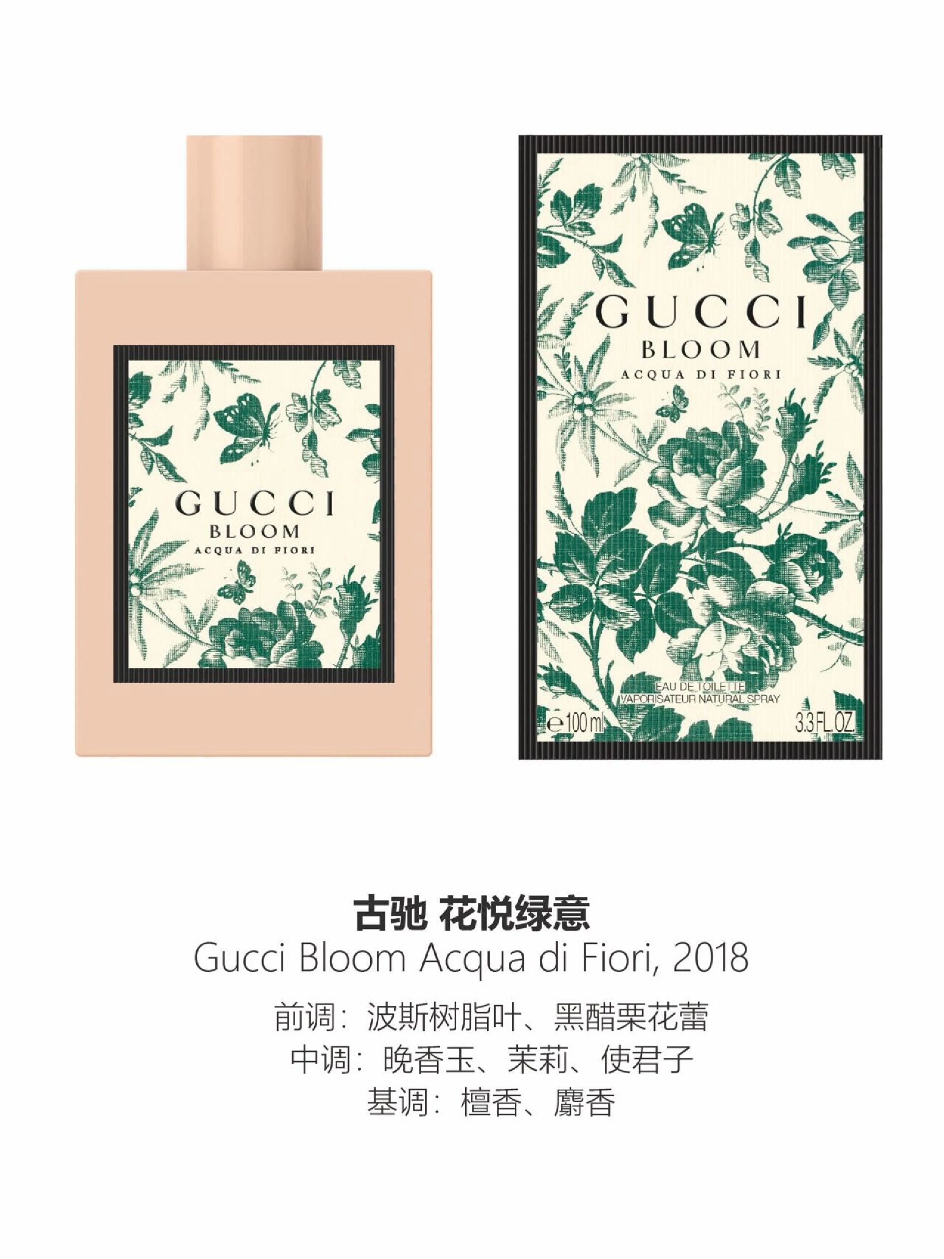芝士贴 | gucci花悦绽放在春天的晚香玉 春天的百花绽放,香气