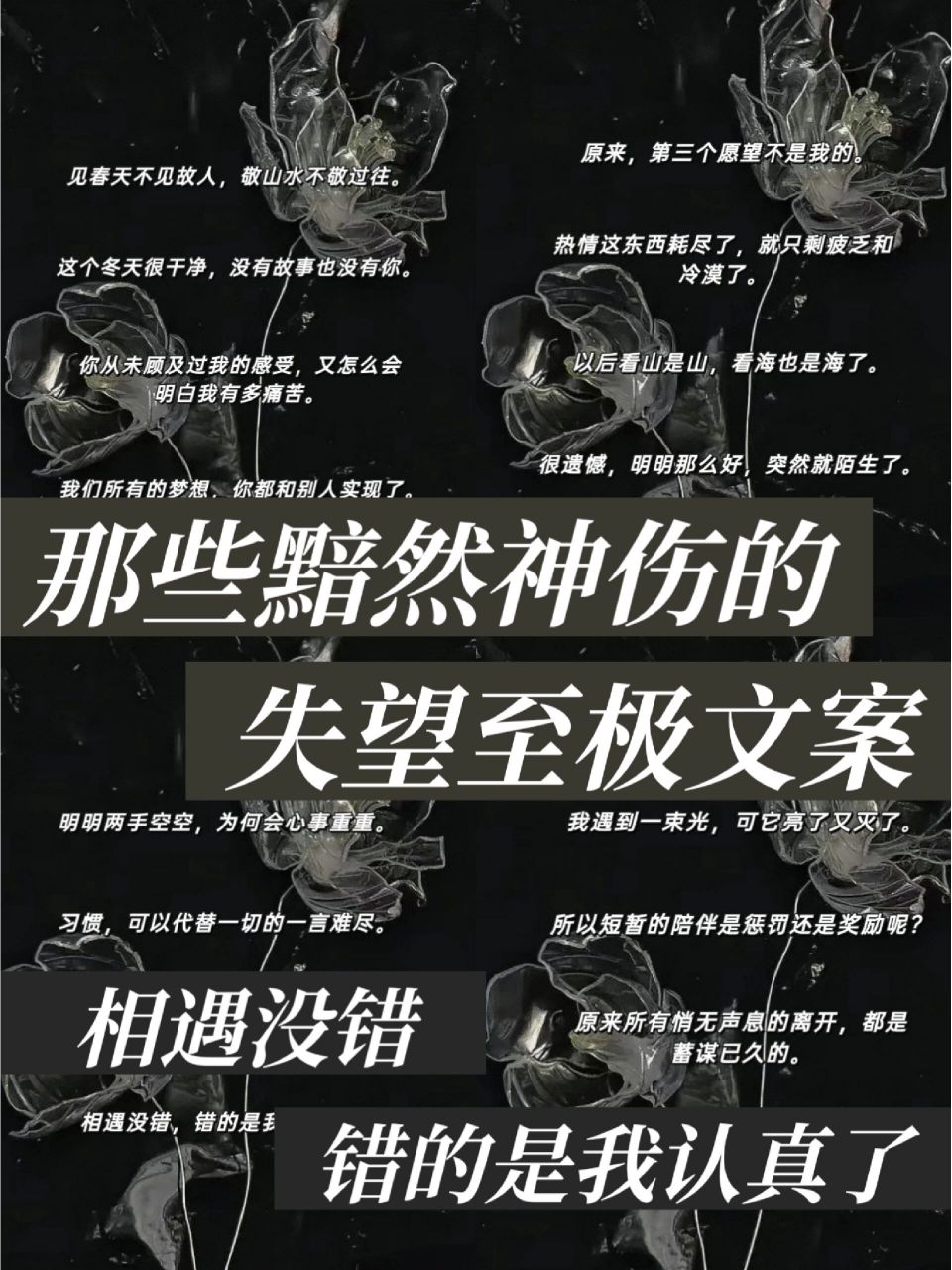 黯然神伤的失望至极文案!  	 哈喽 我是小咕!