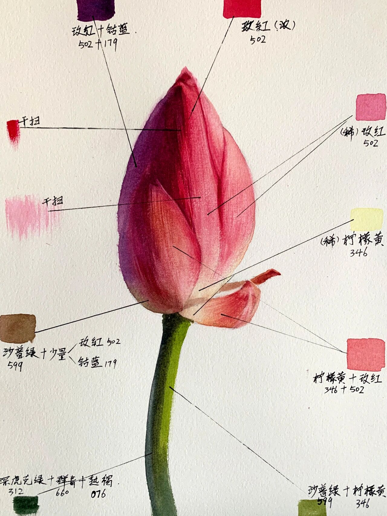 水彩入门 | 荷花花苞(下一篇是绘制视频) 水彩入门-荷花花苞 	 夏日