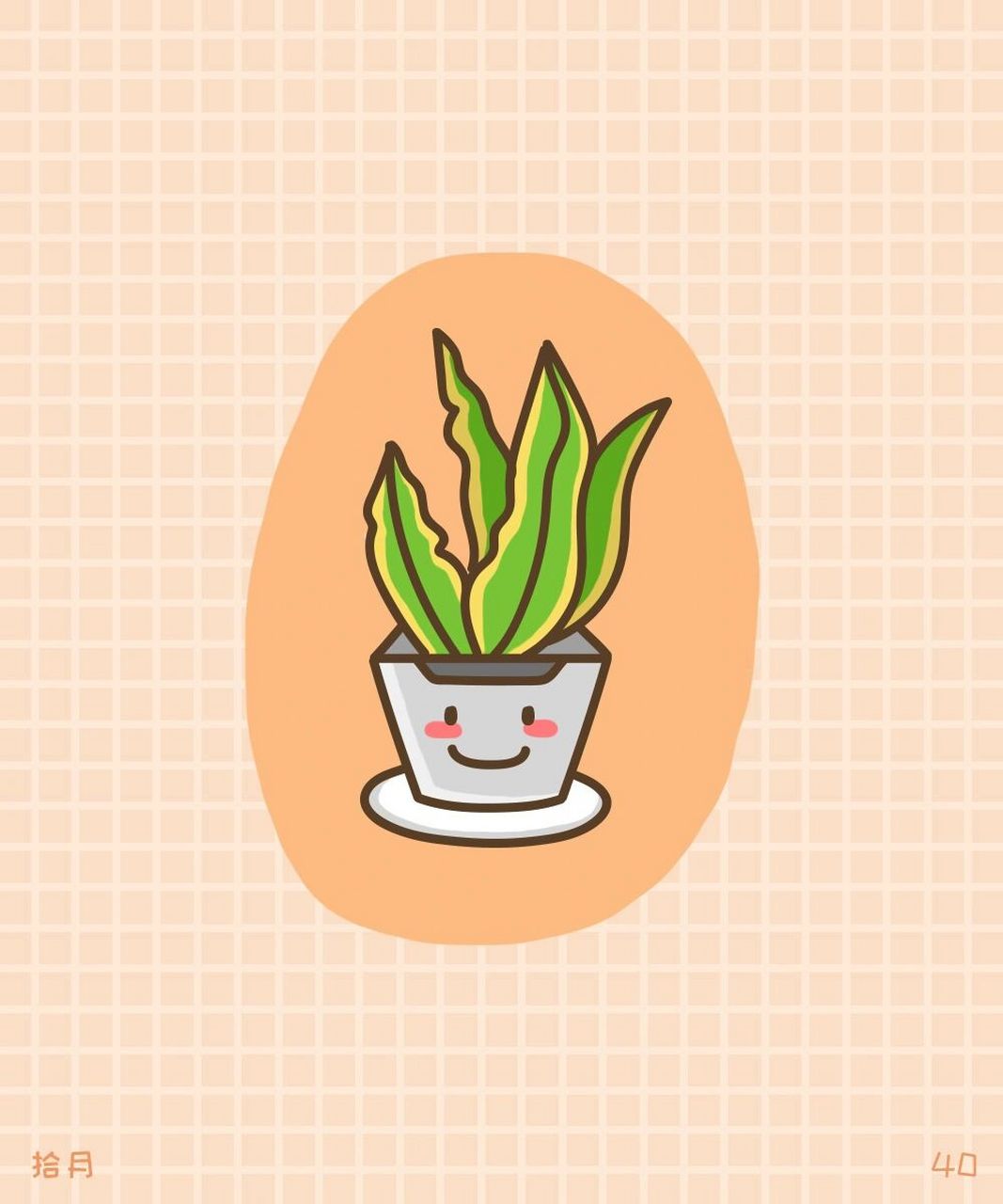 简笔画教程·植物系列·金边吊兰 金边吊兰叶片呈宽线形,嫩绿色,着生