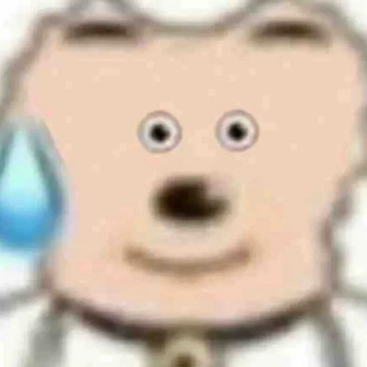 收到口头offer但迟迟没有给书面offer 本来19号去面完聊得特别好当场