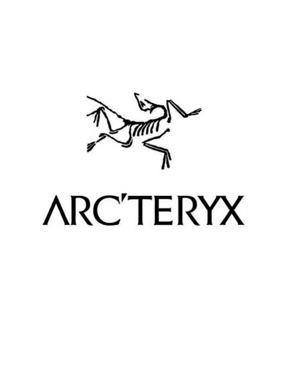 品牌logo含义 arcteryx的名字和商标图案来自于人类所知最早的鸟类
