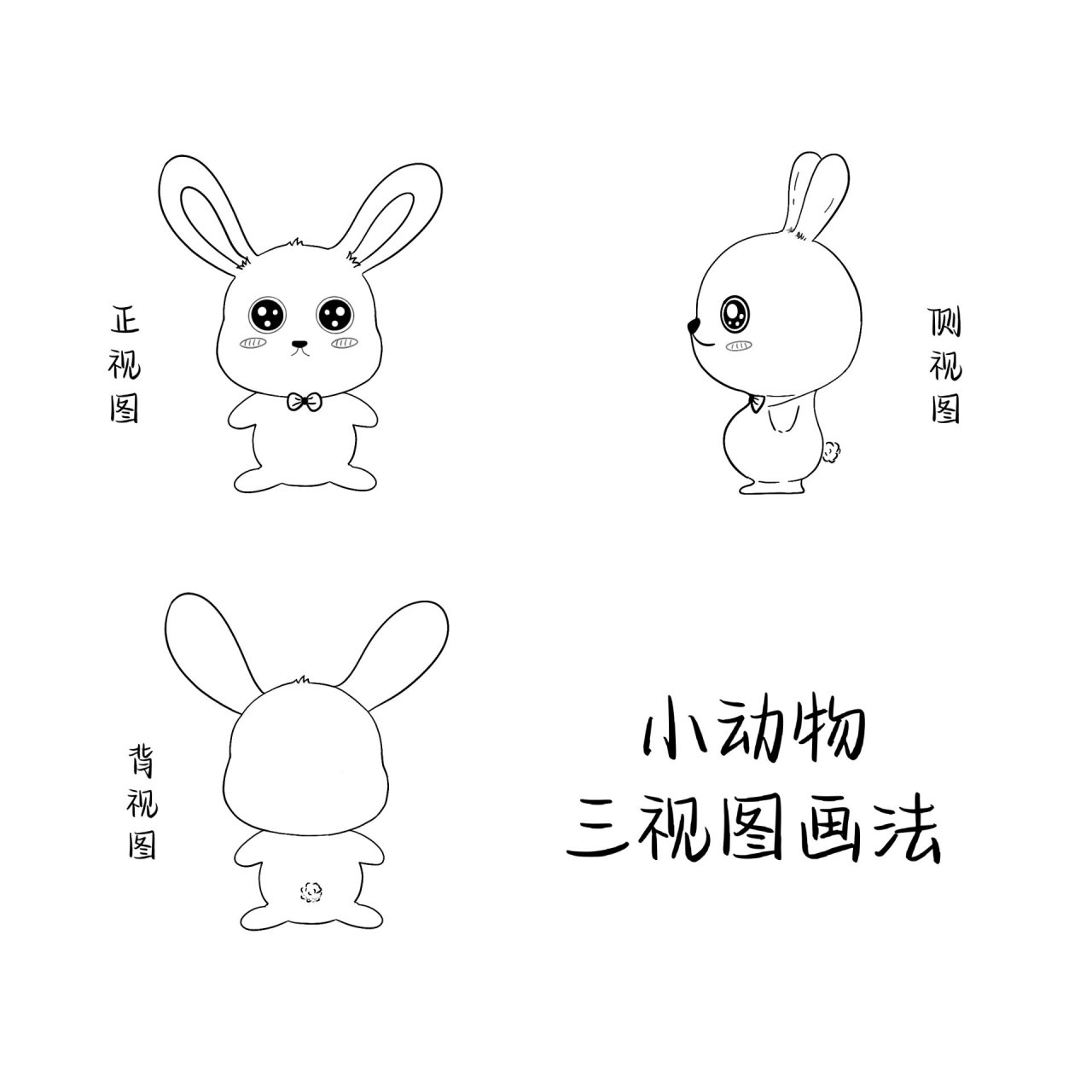 插画学习96小动物三视图画法 今天学习三视图画法,依然是黑白线条