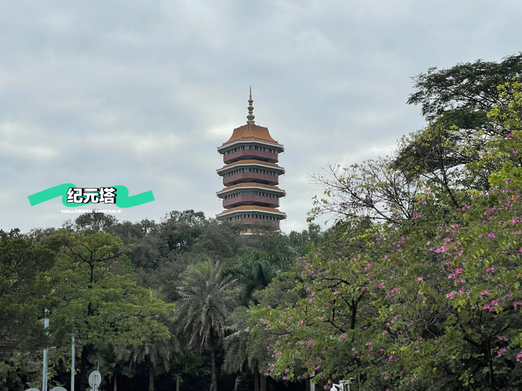 三水森林公园 |周末可释放身心的恬静好地方   深秋初冬,家门口的三水