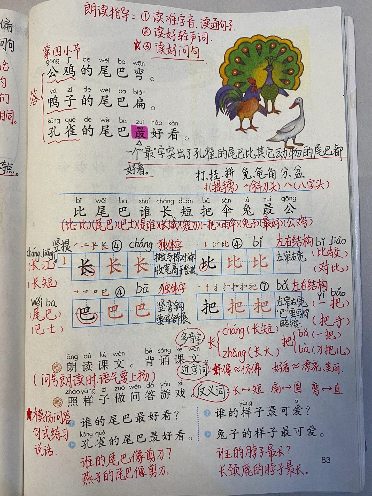 比尾巴小学一年级语文
