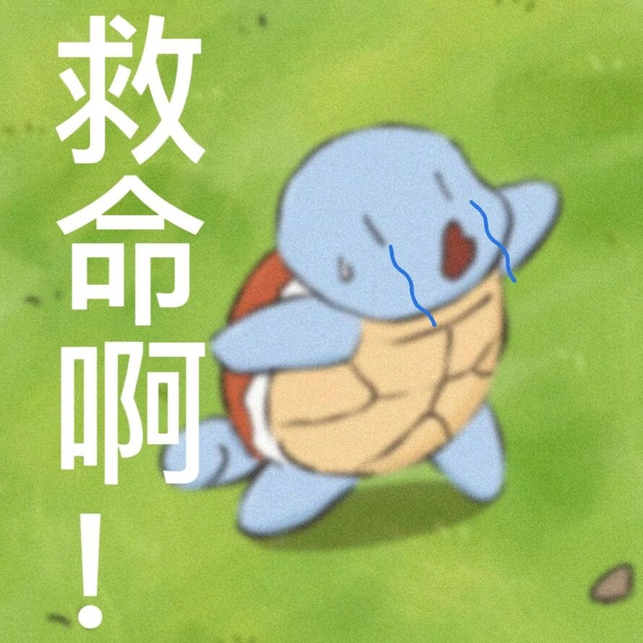 新做的表情包! 刷到的宝可梦图片,觉得很可爱,就做成表情包了原图见