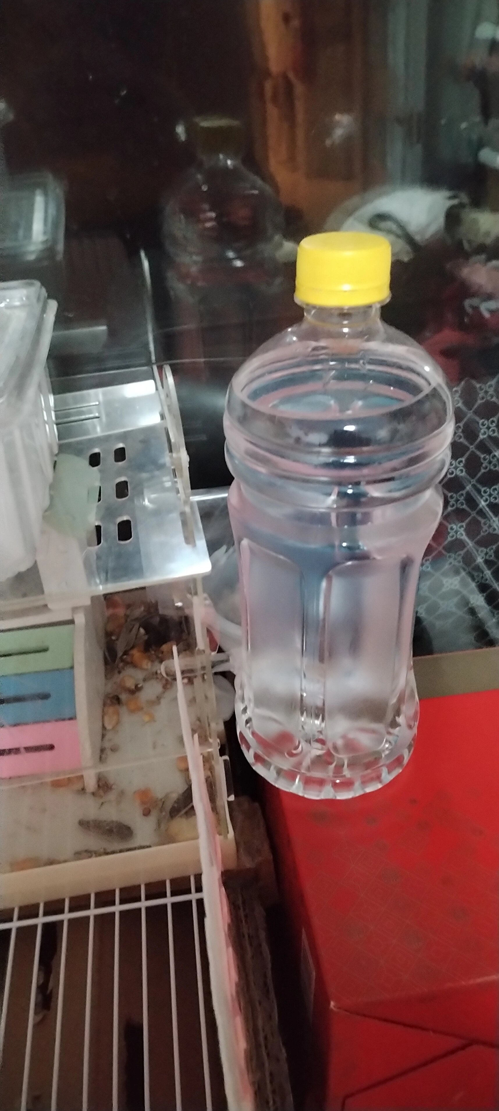 仓鼠饮水自制改造(过年回家怕不够喝