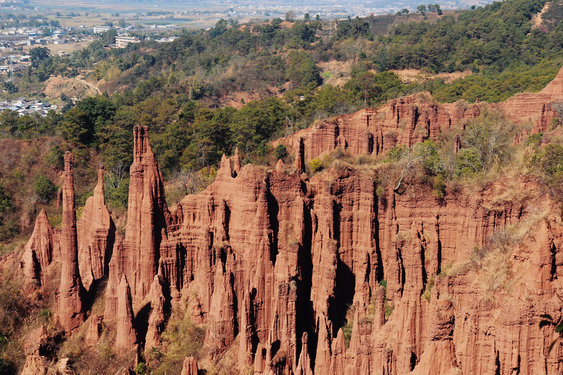 景东土林99 不需要门票