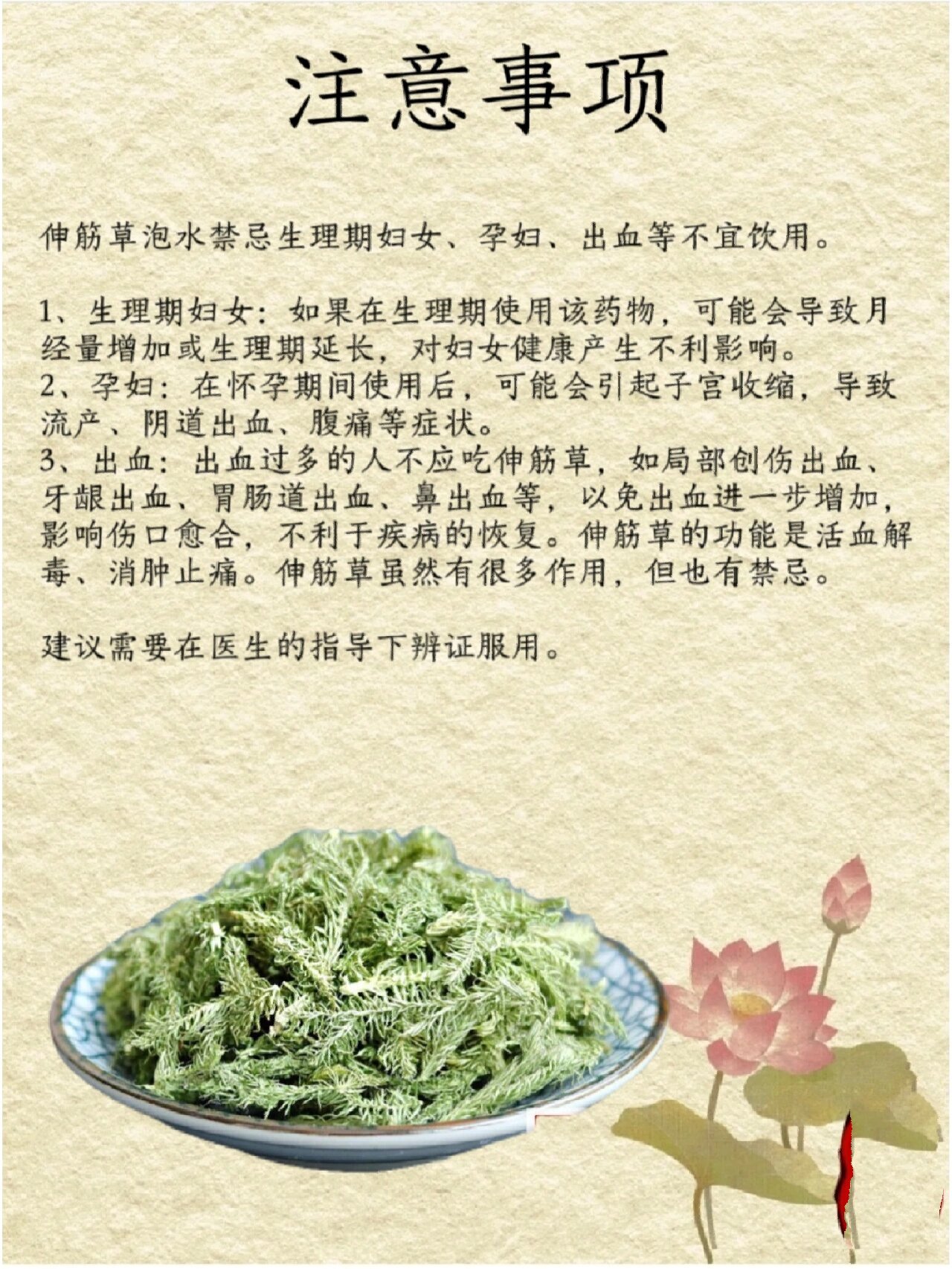 伸筋草图片 功效 作用图片