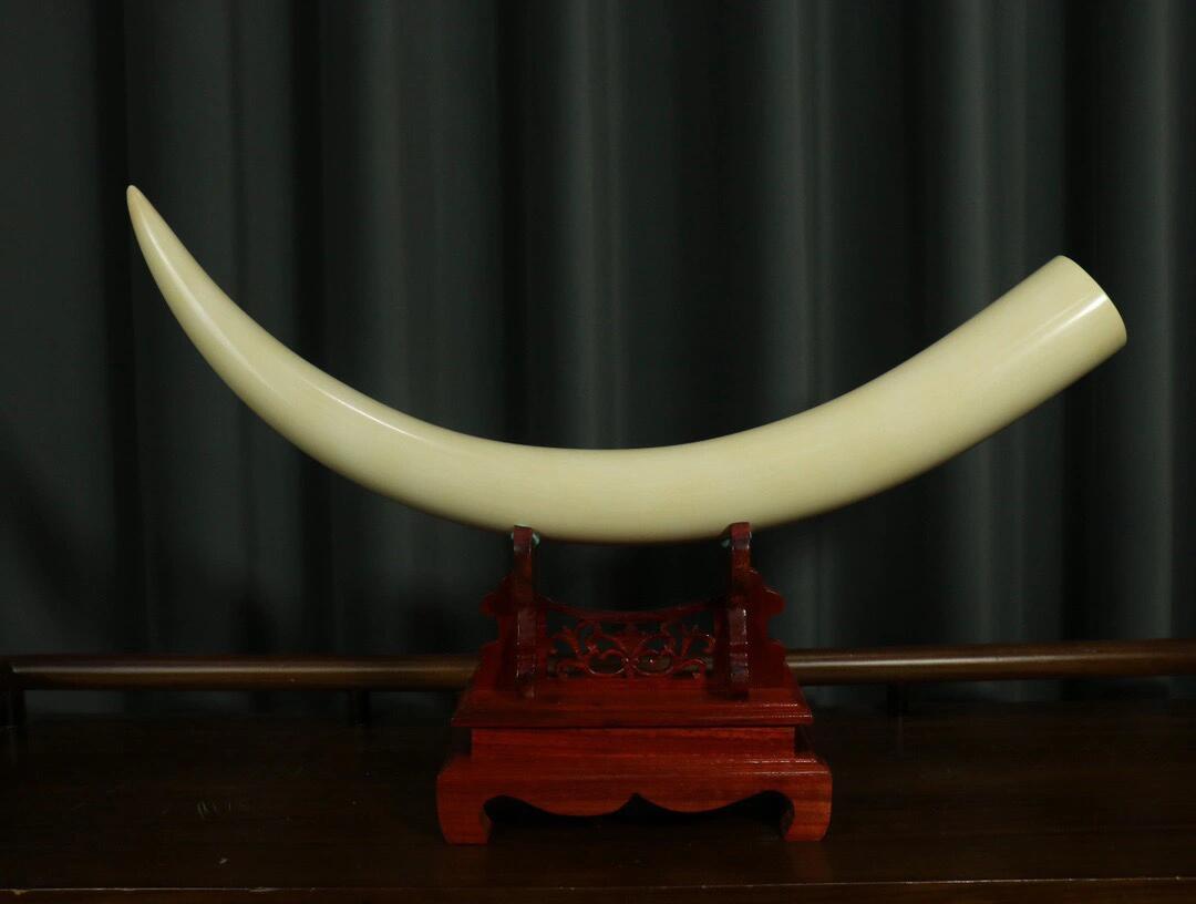 【猛犸象牙冰料摆件】 「尺寸」弧长80cm,口径:7cm 总重:3388g,猛犸