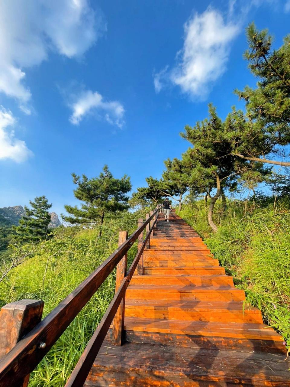 90青岛·浮山生态公园 挑一个晴朗的好天气,蓝天白云,临近夕阳西下