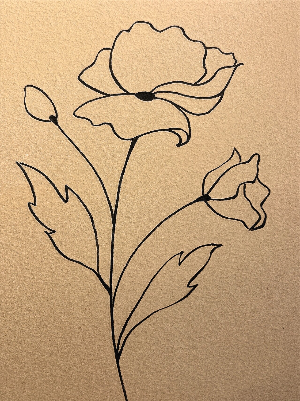 no.92 不用画线稿的简笔素材🌈