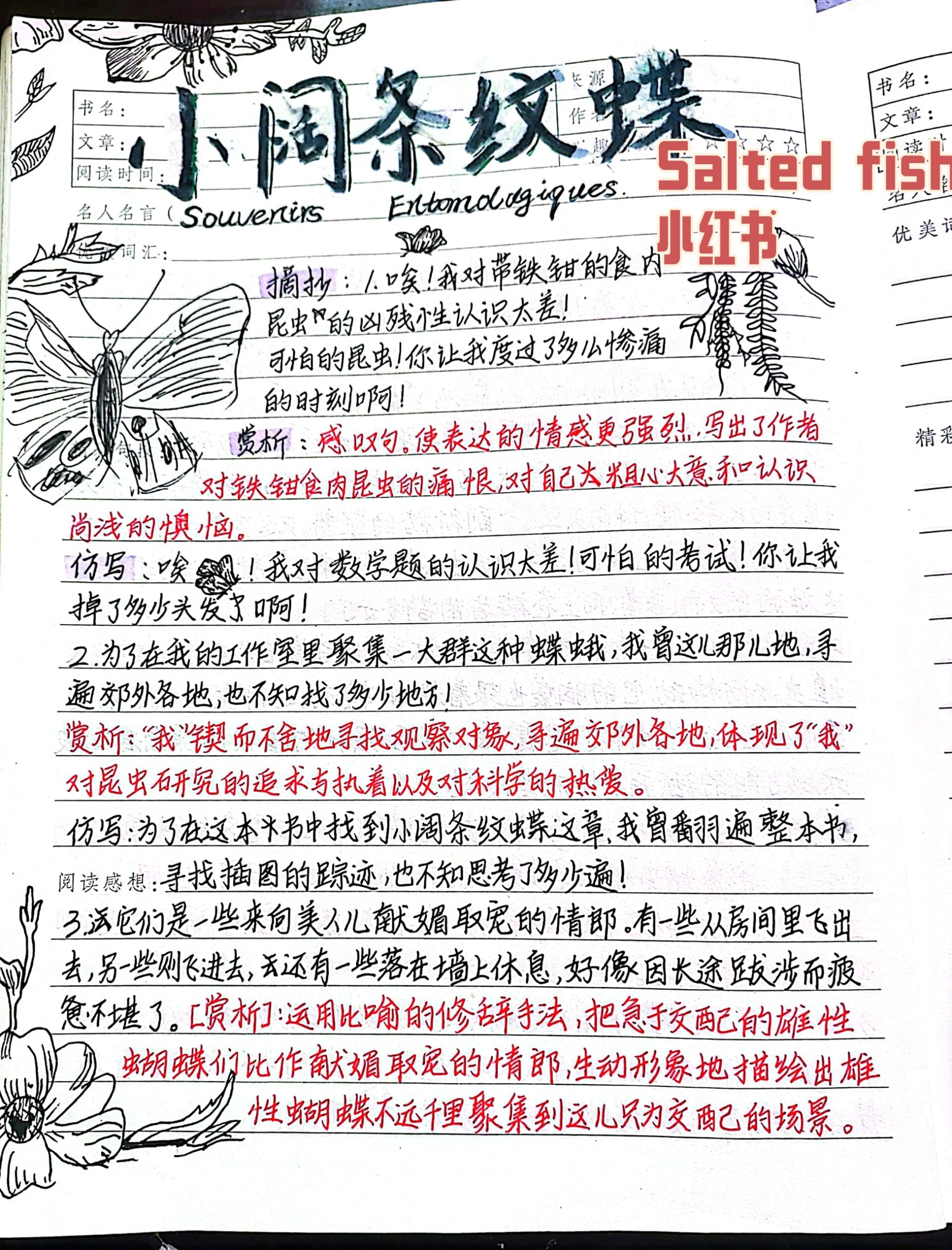 《昆虫记》进阶版 螳螂 小阔条纹蝶 摘抄:1.