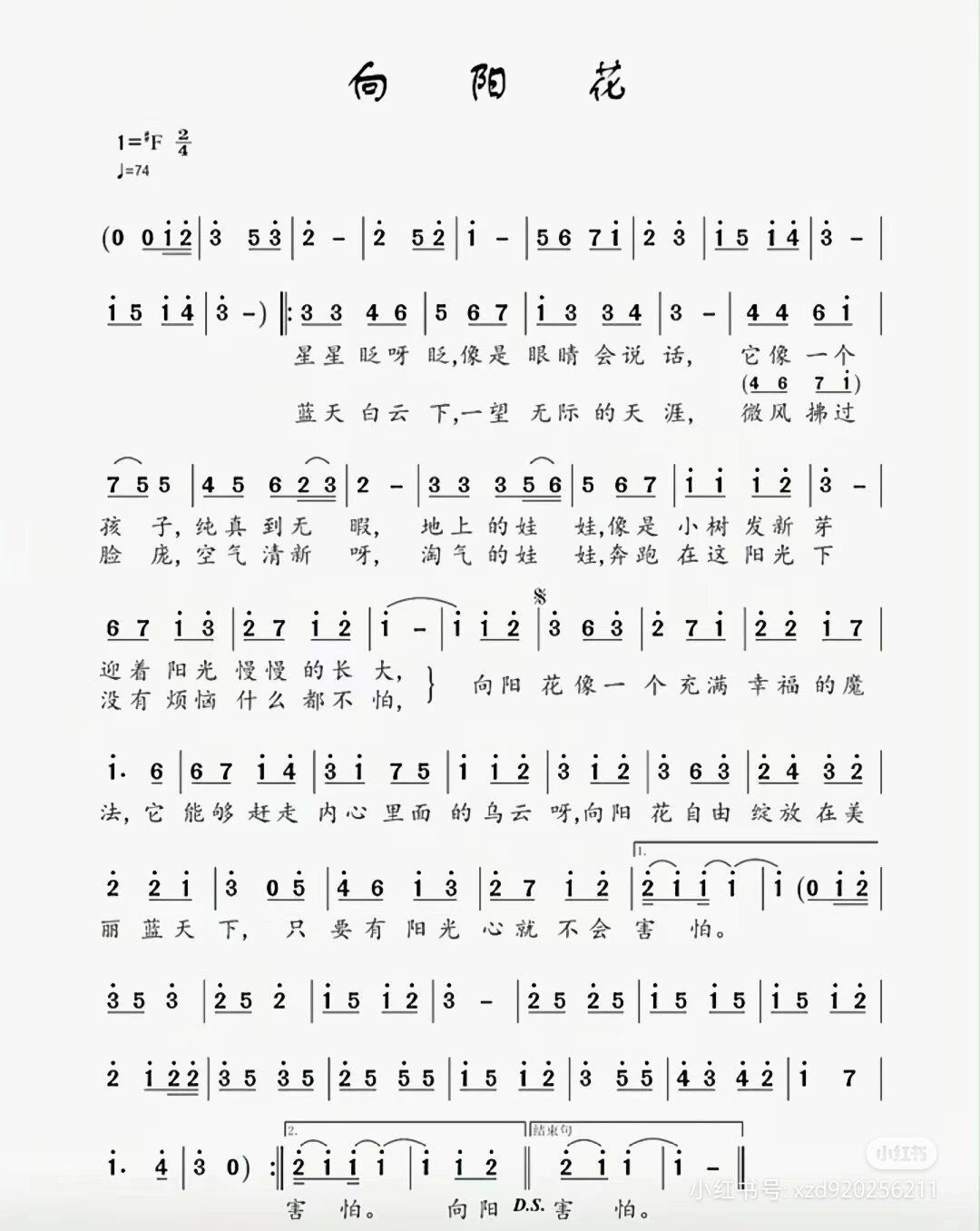 向阳花简谱