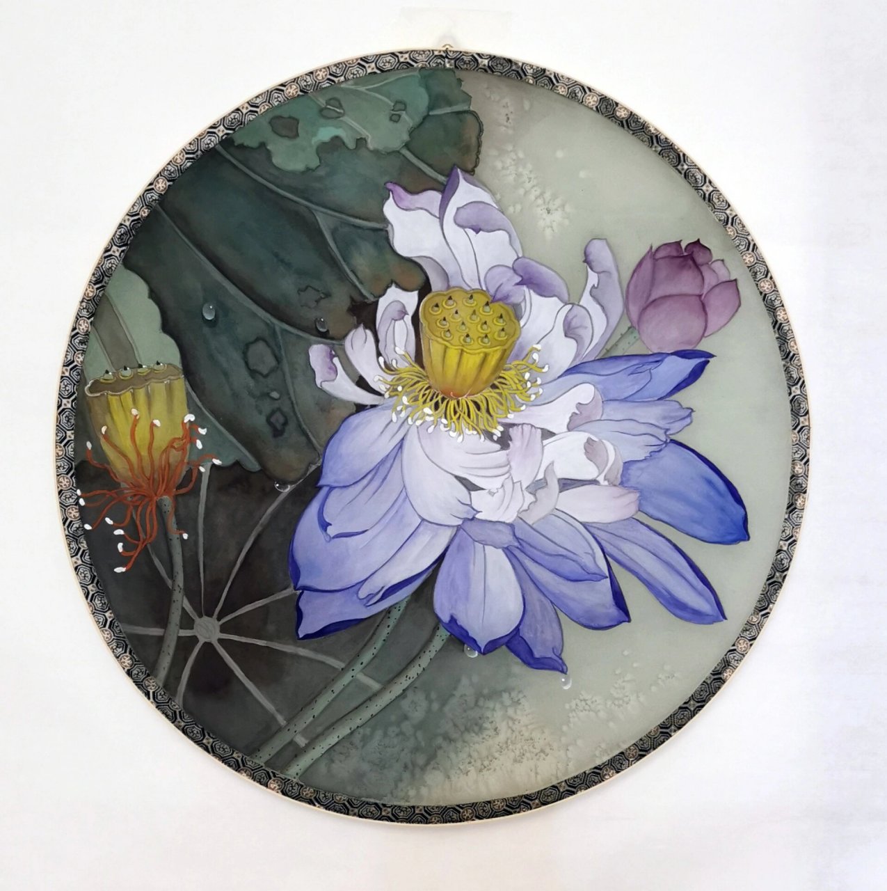 国画工笔挂扇团扇 临摹 老师作品 蓝莲花