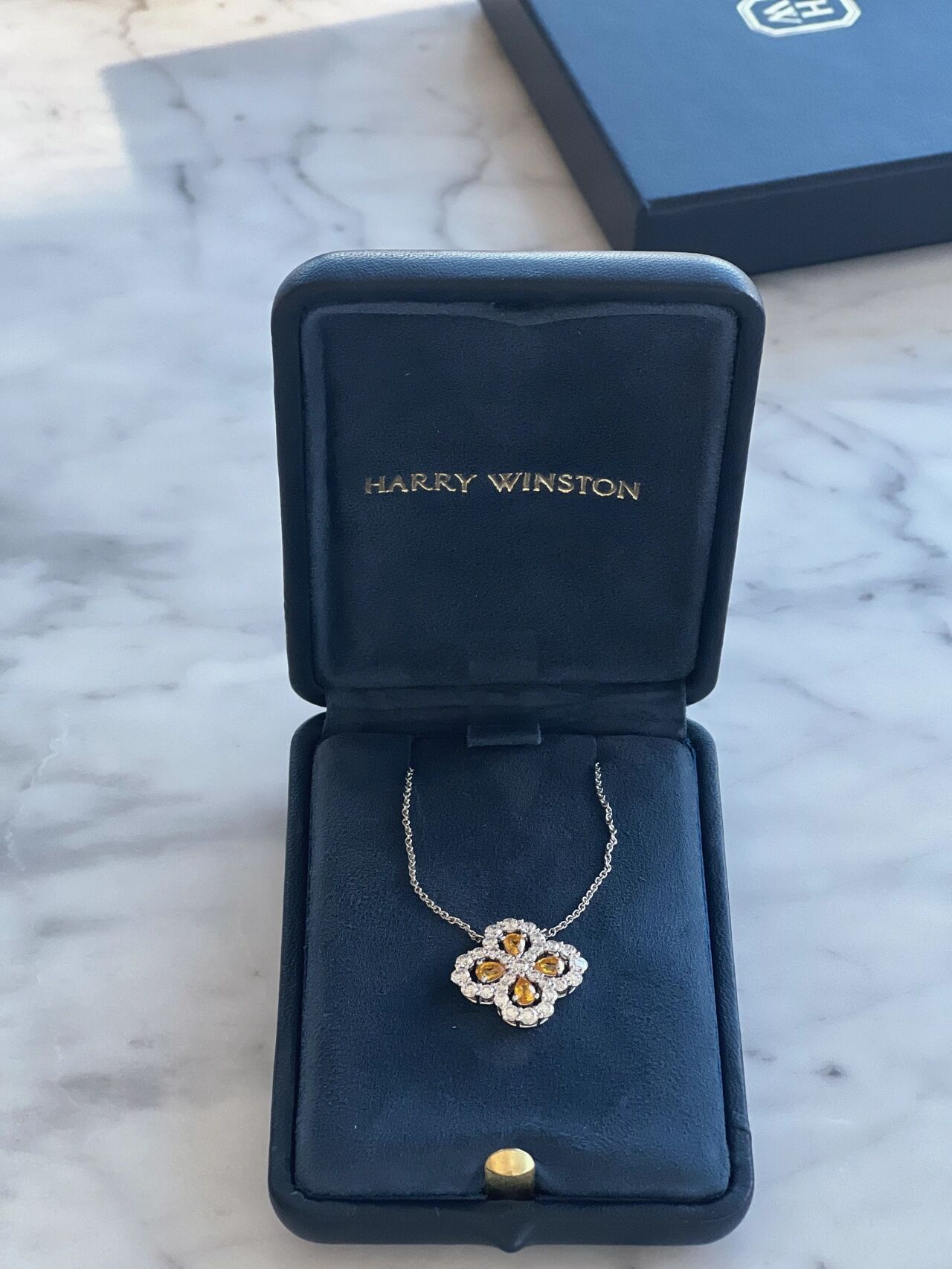 harry winston loop 项链 海瑞温斯顿 harry 之前在澳门逛街就想买