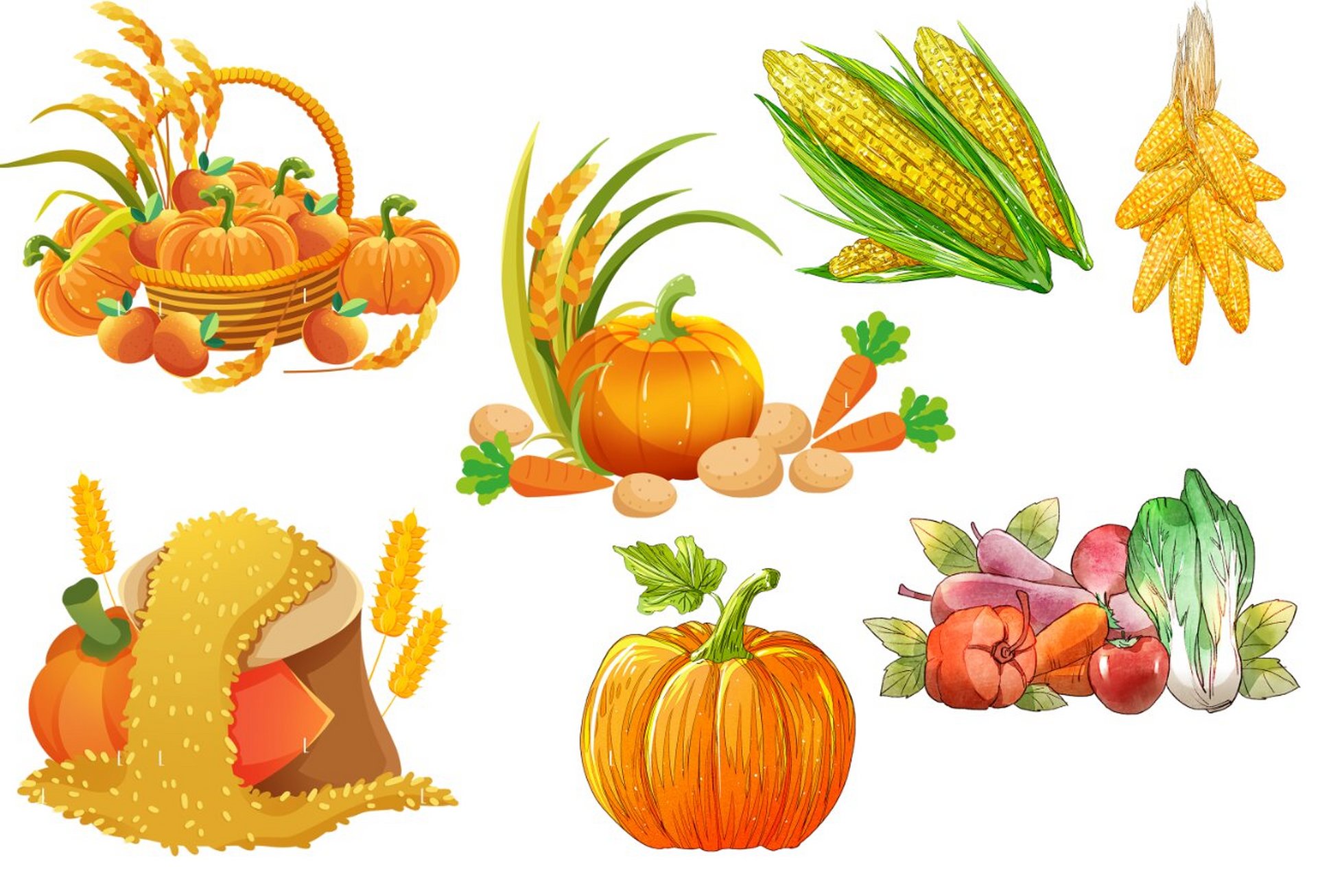 在这秋分时节,更是充满了丰收的喜悦.